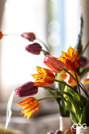 Vaso cilindro Tulipano con decoro Ceramica Waterproof  EDG Enzo De Gasperi