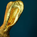 lampada meister lampe dettaglio orecchio