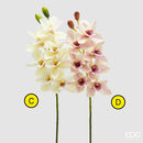 fiori bianco e violet