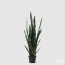 Pianta artificiale Sanseveria EDG Enzo De Gasperi
