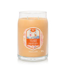 Yankee Candle | Candela signature Slopeside Spritz