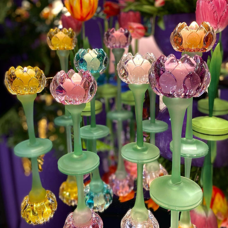 EDG Enzo De Gasperi Portacandela Stelo Tulip in Vetro