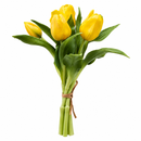 EDG Enzo De Gasperi | Set 5 pz. Tulipano Olis mazzolino - 8 Colori