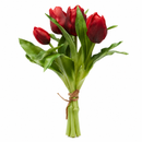 EDG Enzo De Gasperi | Set 5 pz. Tulipano Olis mazzolino - 8 Colori