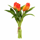 EDG Enzo De Gasperi | Set 5 pz. Tulipano Olis mazzolino - 8 Colori