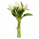 EDG Enzo De Gasperi | Set 5 pz. Tulipano Olis mazzolino - 8 Colori
