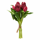 EDG Enzo De Gasperi | Set 5 pz. Tulipano Olis mazzolino - 8 Colori