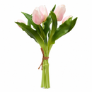 EDG Enzo De Gasperi | Set 5 pz. Tulipano Olis mazzolino - 8 Colori