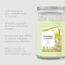 Yankee Candle | Candela Profumata Vanilla Lime