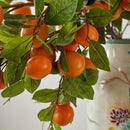 EDG Enzo De Gasperi Mandarino con Vaso