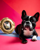 Blogo Design | Cornice Snoopy