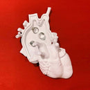 Portagioie in Porcellana Love in A Box Seletti