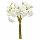 EDG Enzo De Gasperi | Mazzo di Ranuncolo H 30 cm - 6 Colori