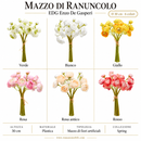EDG Enzo De Gasperi | Mazzo di Ranuncolo H 30 cm - 6 Colori