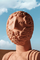Busto in Terracotta Magna Graecia Uomo Seletti