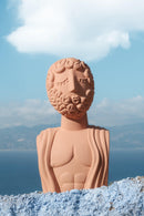 Busto in Terracotta Magna Graecia Uomo Seletti