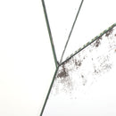 Specchio D'Arte a Parete 60x90 cm Ziggy Agave