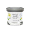 Candela Profumata Midnight Jasmine Yankee Candle