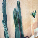 Agave | Quadro Siesta 50x70 cm. Stampe Atelier