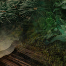 Diffusore Ambiente Terra Dr. Vranjes Firenze