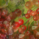 Diffusore Ambiente Melograno Dr. Vranjes Firenze