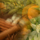 Diffusore Ambiente Arancio Cannella Dr. Vranjes Firenze