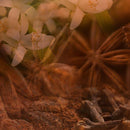 Diffusore Ambiente Fuoco Dr. Vranjes Firenze