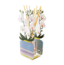 Profumatore Per Ambienti Livinia vista laterale 200ml