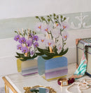 Profumatore Per Ambienti Livinia