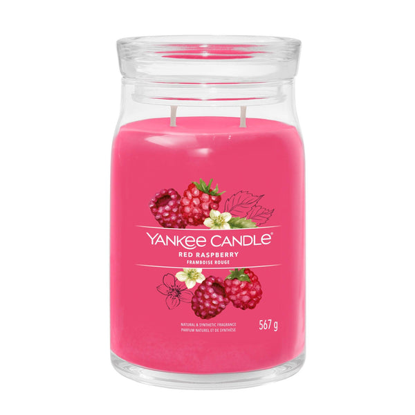 Candela Profumata Red Raspberry Yankee Candle