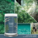 Candela Profumata Bayside Cedar Yankee Candle