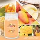Candela Profumata Mango Ice Cream Yankee Candle