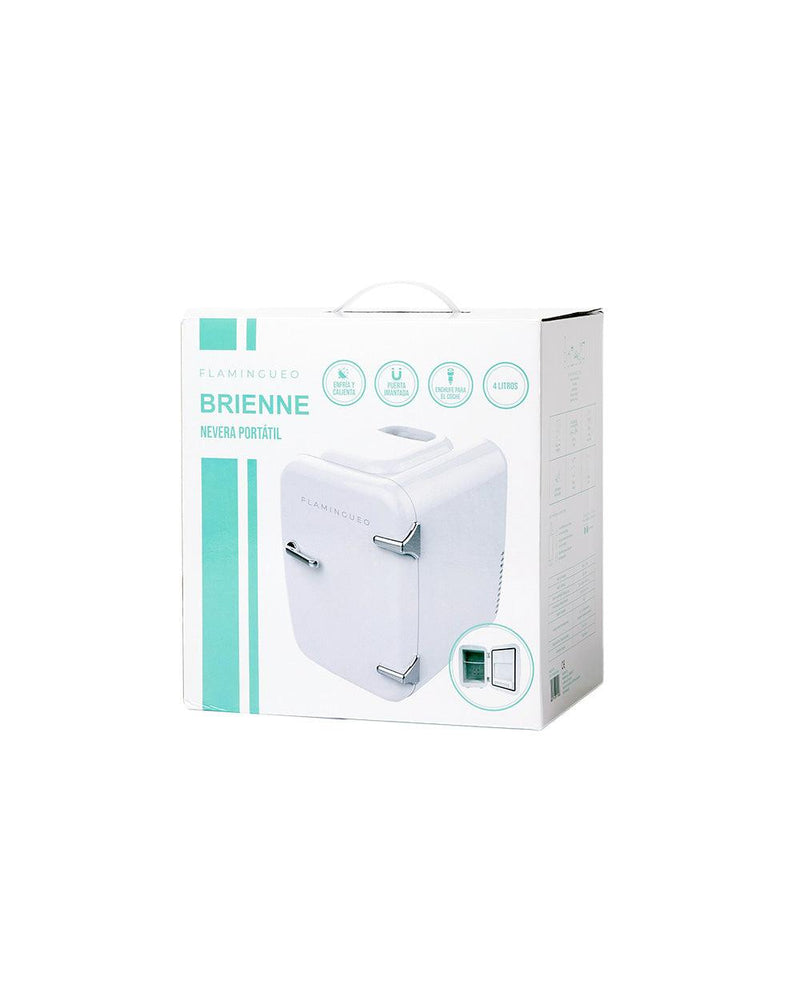 Frigo Mini Portatile Vintage 4L Flamingueo