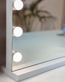 Flamingueo Specchio Trucco con Luci LED da appoggio e da Parete