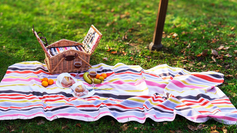 Cestino da picnic in vimini color miele per 2 persone WD Lifestyle