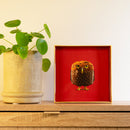 WD Lifestyle | Vassoio svuota tasche decorato Natale 2025