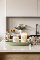 Candela Profumata White Spruce & Grapefruit Yankee Candle