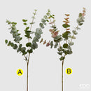 EDG Enzo De Gasperi Eucalipto Olis con ramo H 96 cm