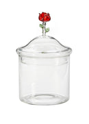 Contenitore Vetro Nature Decoro Rosa  Galbiati