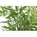 Pianta Artificiale con vaso Bamboo H 185 cm. EDG Enzo De Gasperi