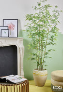 Pianta Artificiale con vaso Bamboo H 185 cm. EDG Enzo De Gasperi