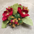 EDG Enzo De Gasperi | Girocandela Natalizio - Natale 2025