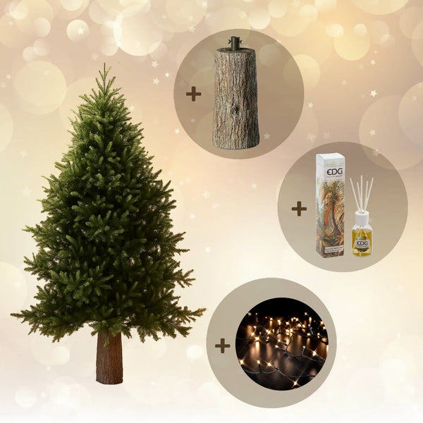 🎄 Pacchetto Natale EDG – Albero Pino Luxury 180 cm + Base Tronco 45 + Luci + Profumatore Omaggio