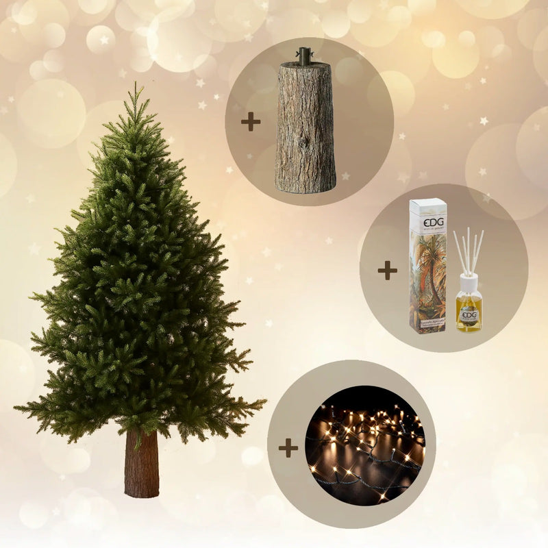 🎄 Pacchetto Natale EDG – Albero Pino Luxury 180 cm + Base Tronco 45 + Luci + Profumatore Omaggio
