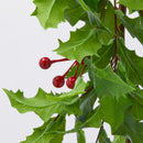 Enzo De Gasperi Festone Agrifoglio con bacche Natale 2025