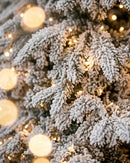 Fiori di Lena | Albero di Natale Innevato Mont Blanc con LED – 4 Altezze