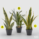 Pianta Artificiale WEST H 54 cm. con vaso By EDG Enzo De Gasperi