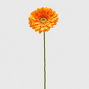 EDG Enzo De Gasperi | Gerbera Ramo 6 colori assortiti