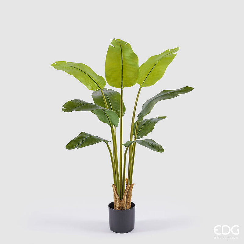 Pianta Artificiale con vaso Banano H 90 cm. EDG Enzo De Gasperi