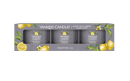 Yankee Candle Confezione  3 Candele Votive in Vetro  Black Tea & Lemon